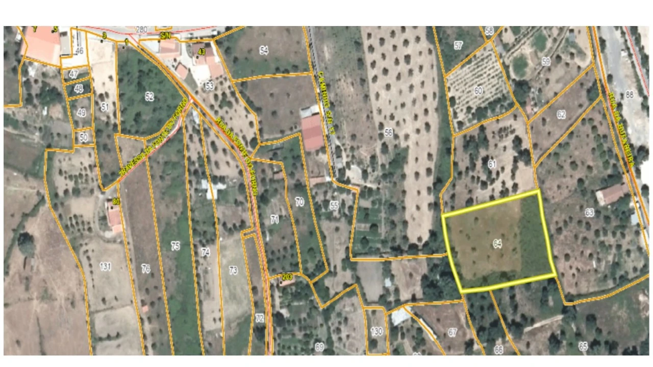Terreno Agricola ou Rústico para Arrendamento em Mação, Penhascoso e Aboboreira Foto 8