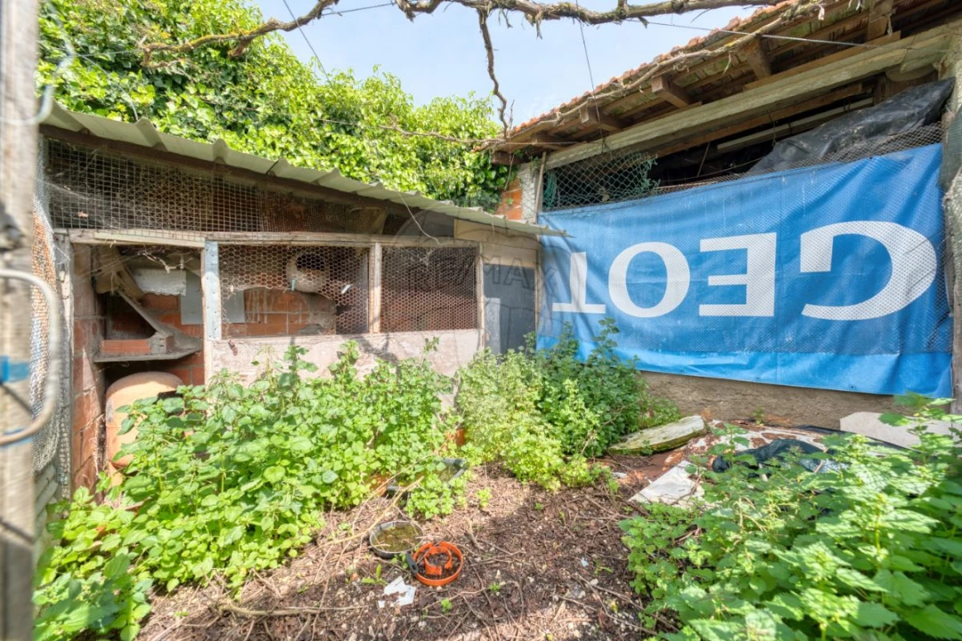 Moradia T2 para Venda em Almoster Foto 32