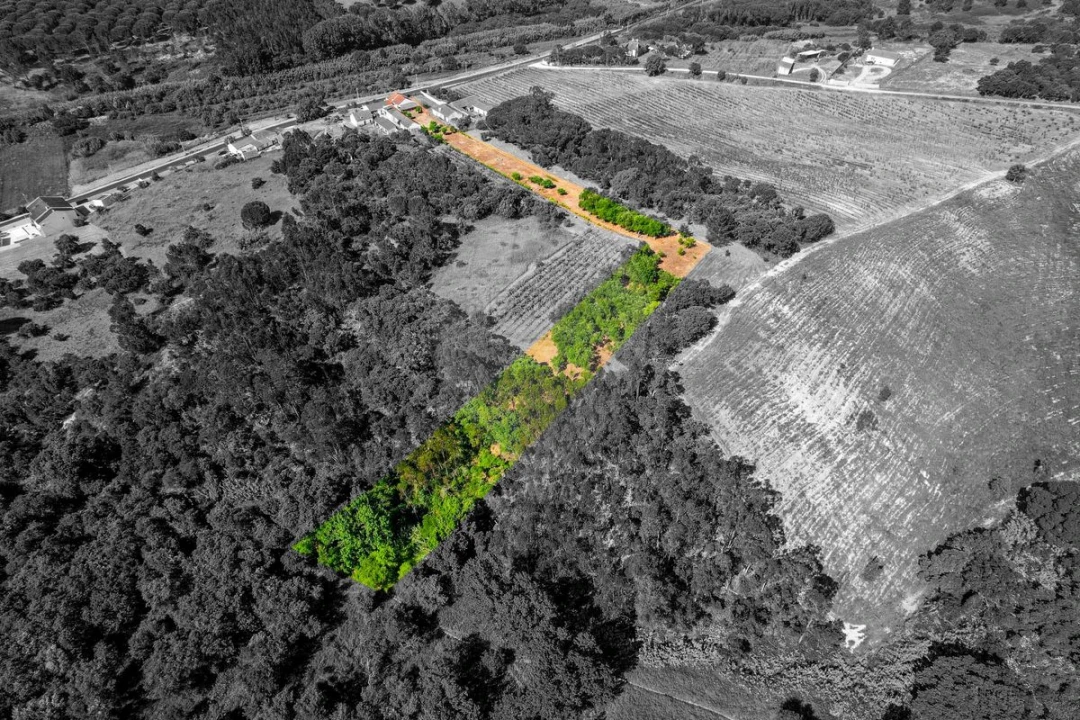 Moradia T2 para Venda em Manique do Intendente, Vila Nova de São Pedro e Maçussa Foto 27