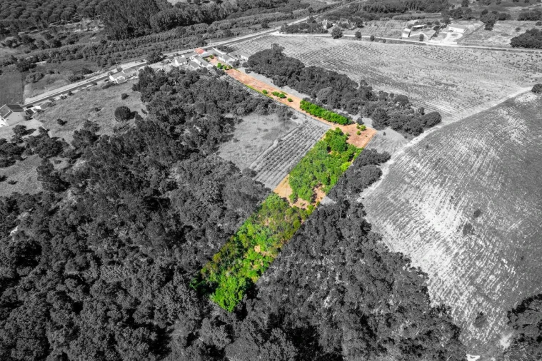 Moradia T2 para Venda em Manique do Intendente, Vila Nova de São Pedro e Maçussa Foto 29