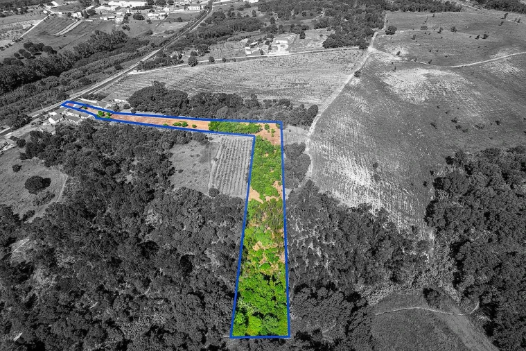 Moradia T2 para Venda em Manique do Intendente, Vila Nova de São Pedro e Maçussa Foto 28