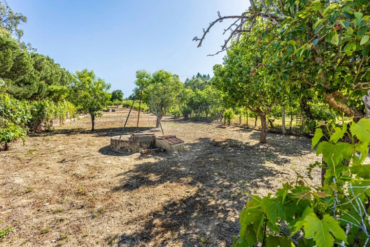 Moradia T2 para Venda em Manique do Intendente, Vila Nova de São Pedro e Maçussa Foto 23