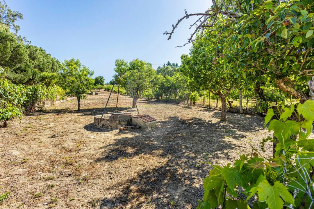 Moradia T2 para Venda em Manique do Intendente, Vila Nova de São Pedro e Maçussa Foto 23