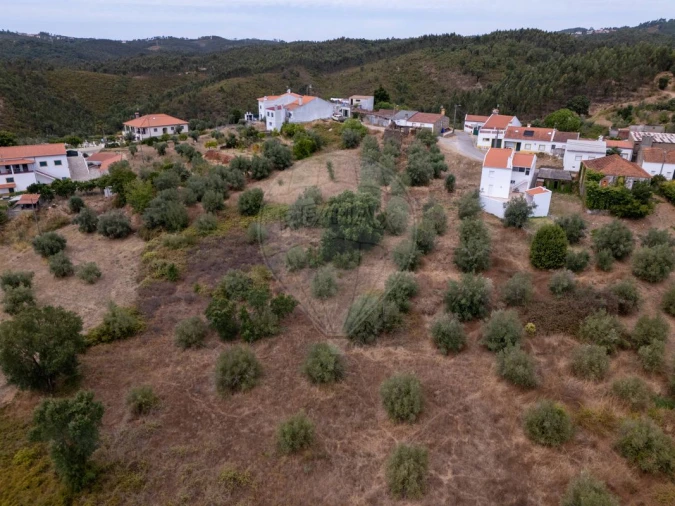 Moradia T2 para Venda em Serra e Junceira Foto 19