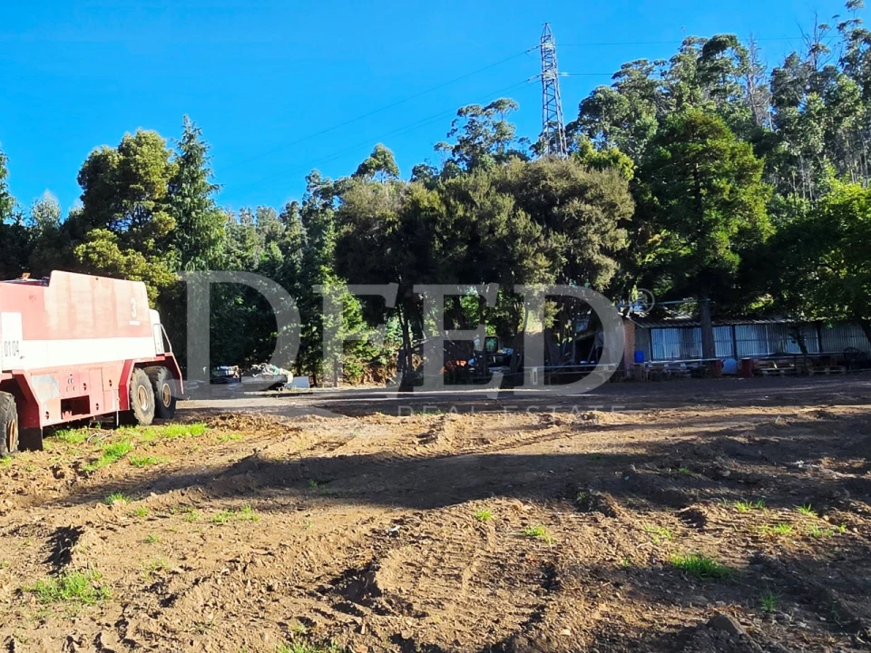 Terreno Misto para Venda em Arco da Calheta Foto 8