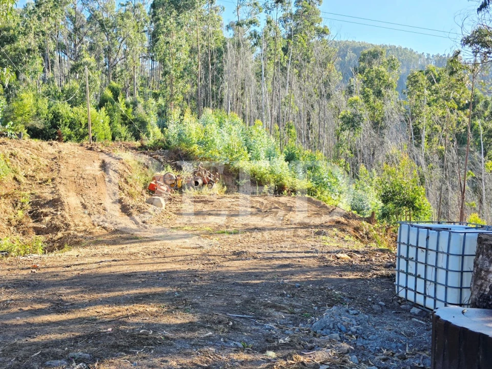 Terreno Misto para Venda em Arco da Calheta Foto 15