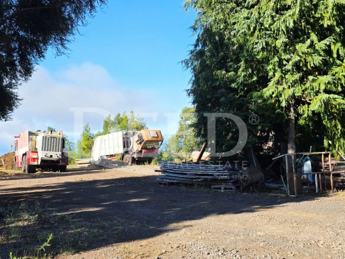 Terreno Misto para Venda em Arco da Calheta Foto 4