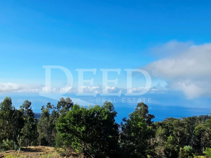 Terreno Misto para Venda em Arco da Calheta Foto 11