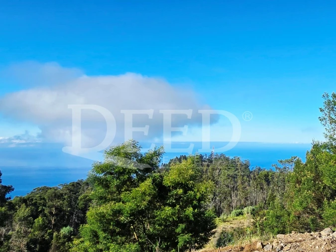 Terreno Misto para Venda em Arco da Calheta Foto 13