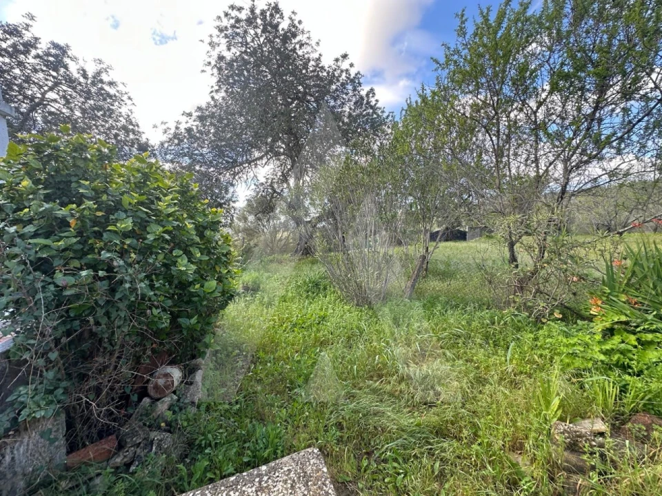 Moradia T2 para Venda em Boliqueime Foto 16