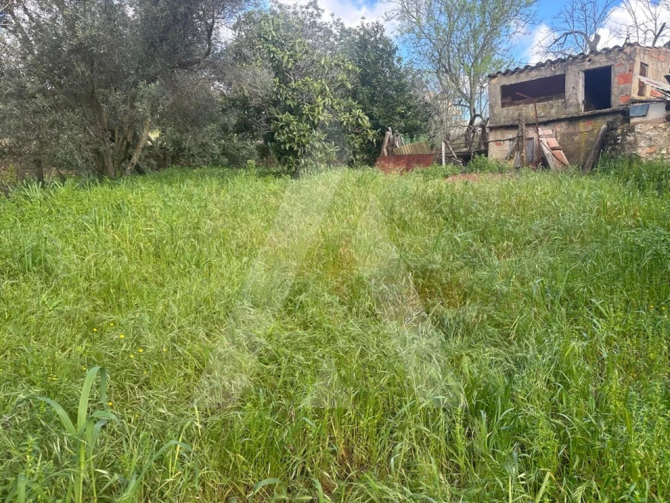 Moradia T2 para Venda em Boliqueime Foto 22