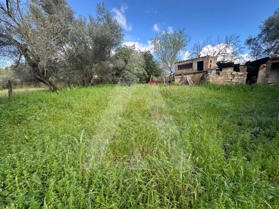 Moradia T2 para Venda em Boliqueime Foto 23