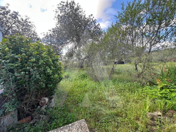 Moradia T2 para Venda em Boliqueime Foto 16