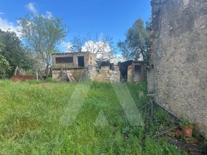 Moradia T2 para Venda em Boliqueime Foto 21