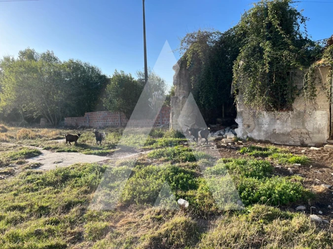 Terreno para Venda em Ílhavo (São Salvador) Foto 2