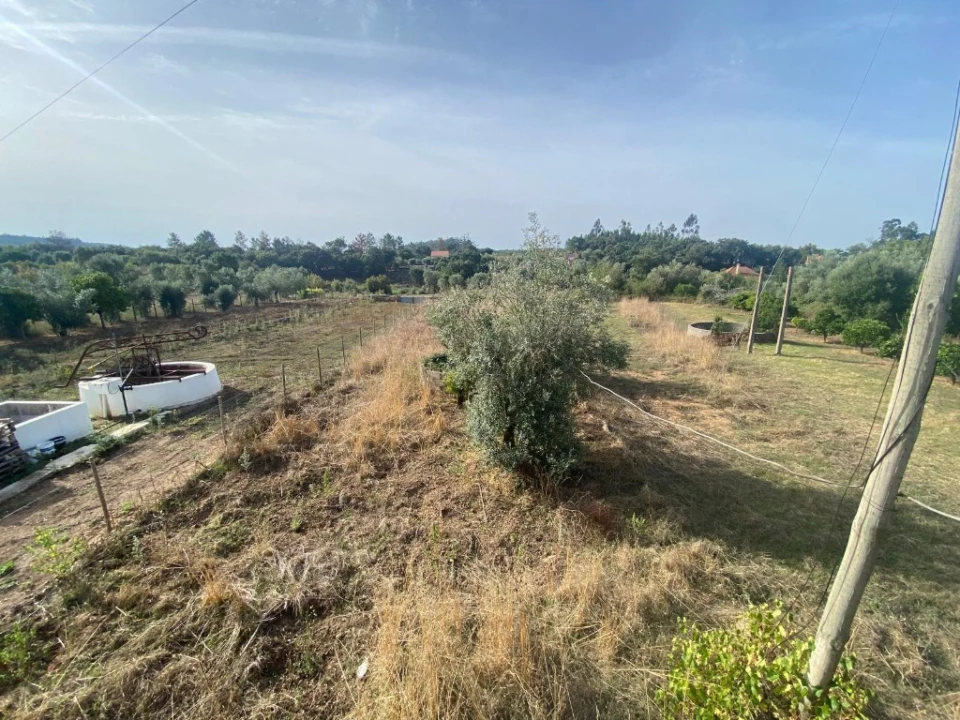 Moradia T2 para Venda em Nossa Senhora do Pranto Foto 6