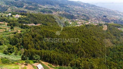 Terreno para Venda em Santa Cruz