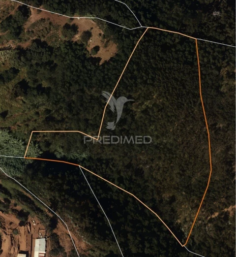 Terreno para Venda em Santa Cruz
