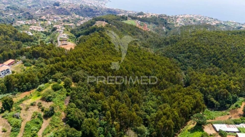 Terreno para Venda em Santa Cruz