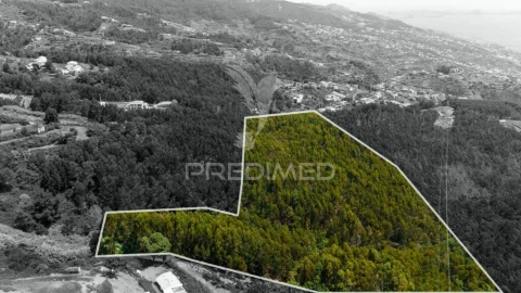 Terreno para Venda em Santa Cruz