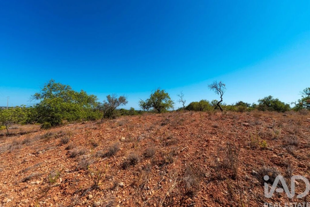 Terreno para Venda em Conceição e Estoi Foto 23