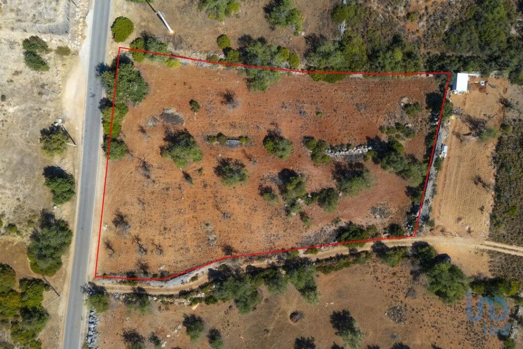Terreno para Venda em Conceição e Estoi Foto 3
