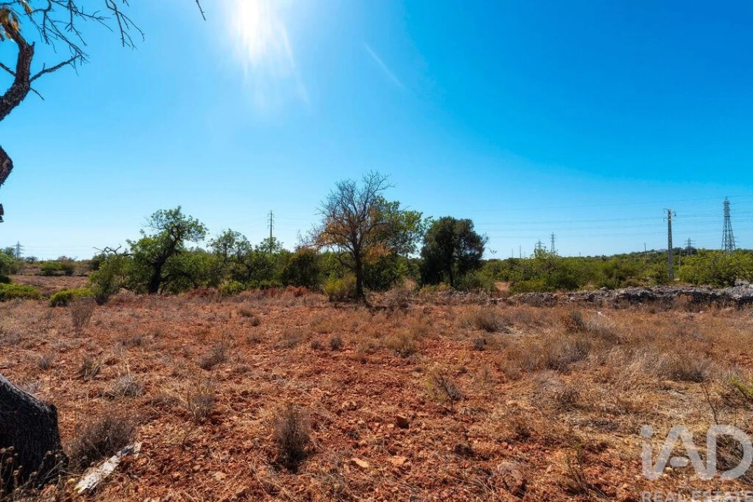 Terreno para Venda em Conceição e Estoi Foto 17