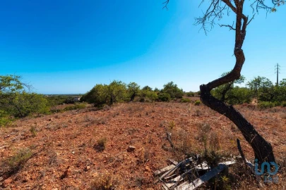 Terreno para Venda em Conceição e Estoi