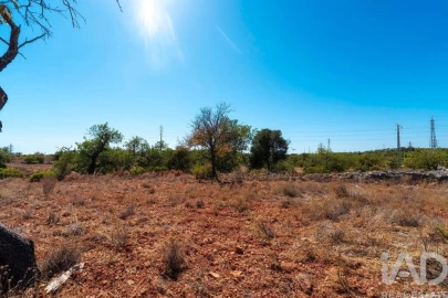 Terreno para Venda em Conceição e Estoi