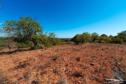 Terreno para Venda em Conceição e Estoi