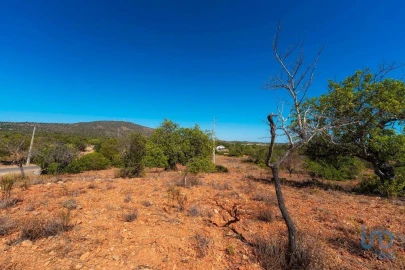 Terreno para Venda em Conceição e Estoi
