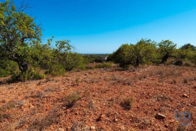 Terreno para Venda em Conceição e Estoi
