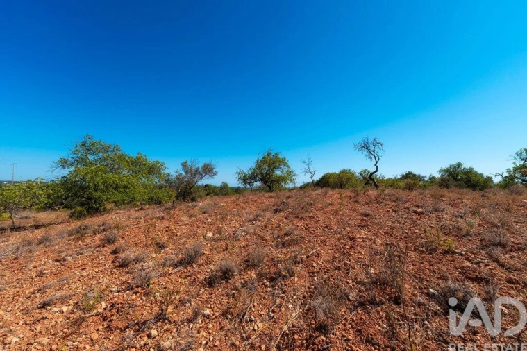 Terreno para Venda em Conceição e Estoi Foto 23