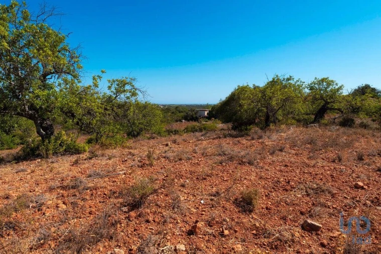 Terreno para Venda em Conceição e Estoi Foto 10