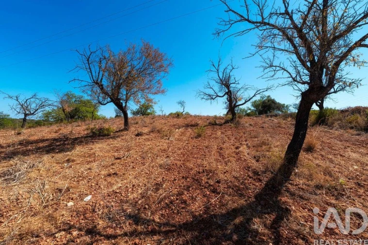 Terreno para Venda em Conceição e Estoi Foto 28
