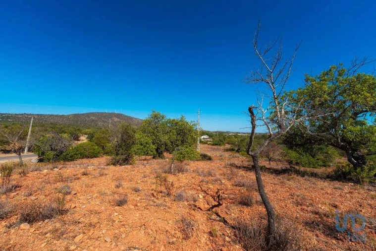 Terreno para Venda em Conceição e Estoi Foto 13