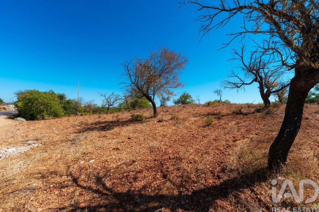 Terreno para Venda em Conceição e Estoi Foto 27