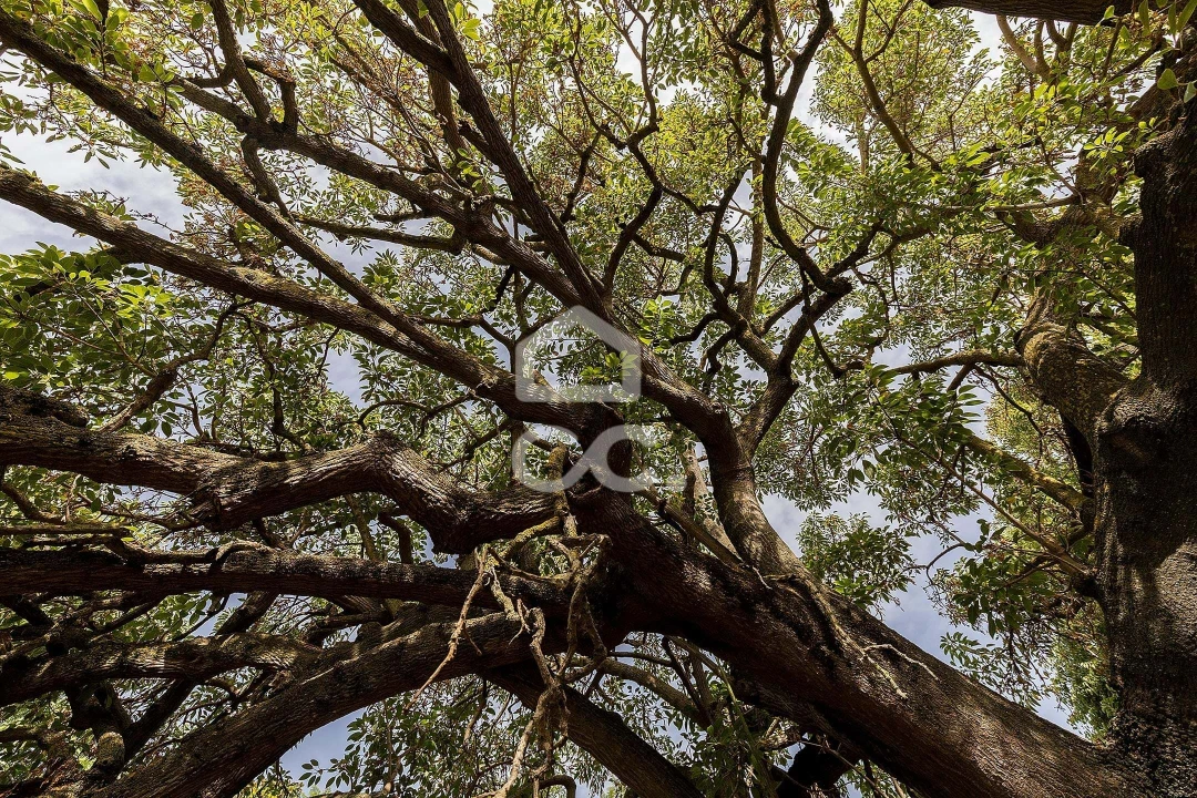 Apartamento T3 para Venda em Barreiro e Lavradio Foto 53