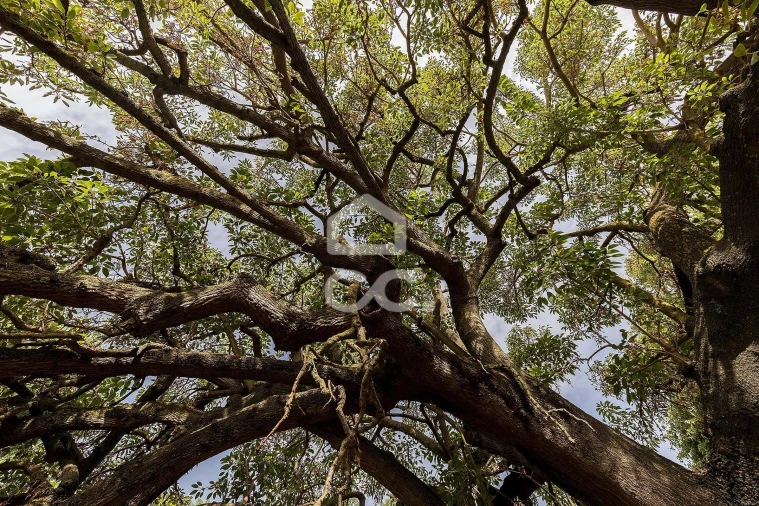 Apartamento T3 para Venda em Barreiro e Lavradio Foto 53