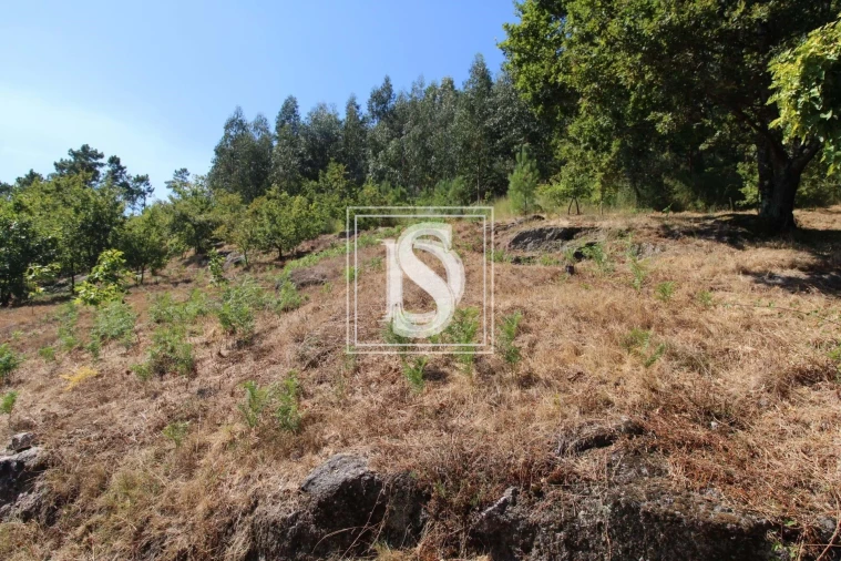 Terreno para Venda em Salvador do Monte Foto 3