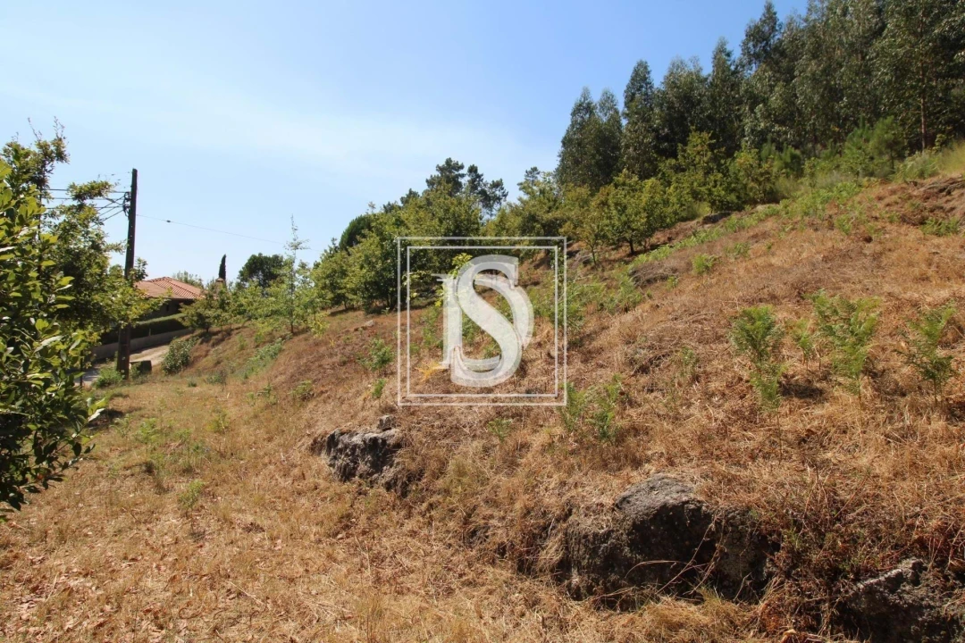 Terreno para Venda em Salvador do Monte Foto 2