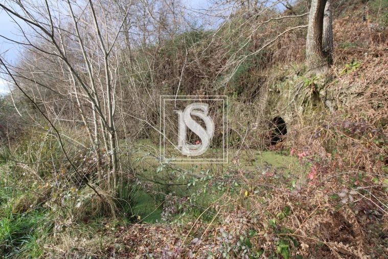 Terreno para Venda em Salvador do Monte Foto 3