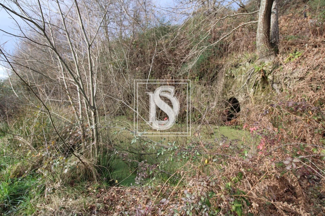 Terreno para Venda em Salvador do Monte Foto 3