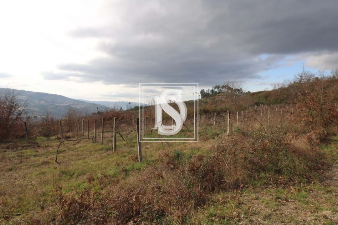 Terreno para Venda em Salvador do Monte Foto 1