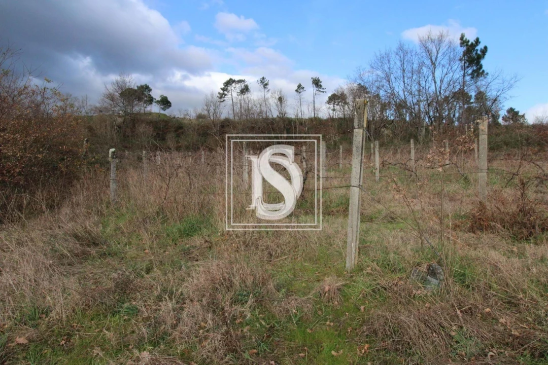 Terreno para Venda em Salvador do Monte Foto 6