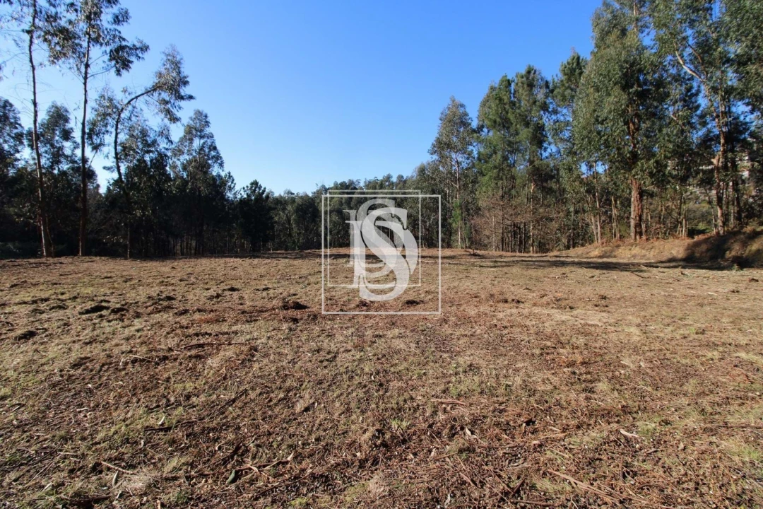 Terreno para Venda em Telões Foto 12