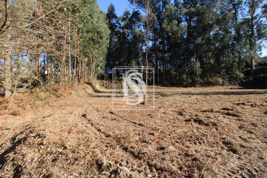 Terreno para Venda em Telões Foto 3