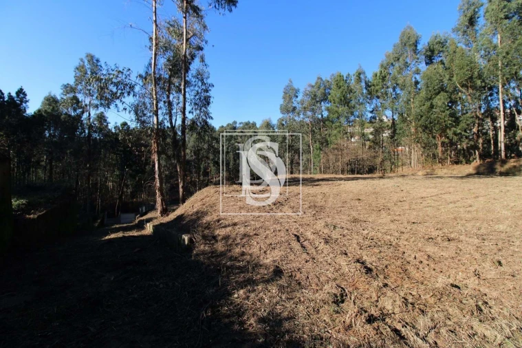 Terreno para Venda em Telões Foto 13