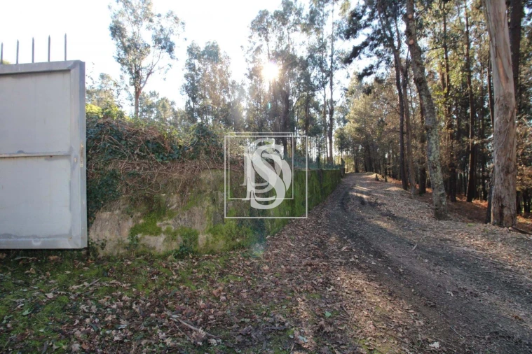 Terreno para Venda em Telões Foto 16