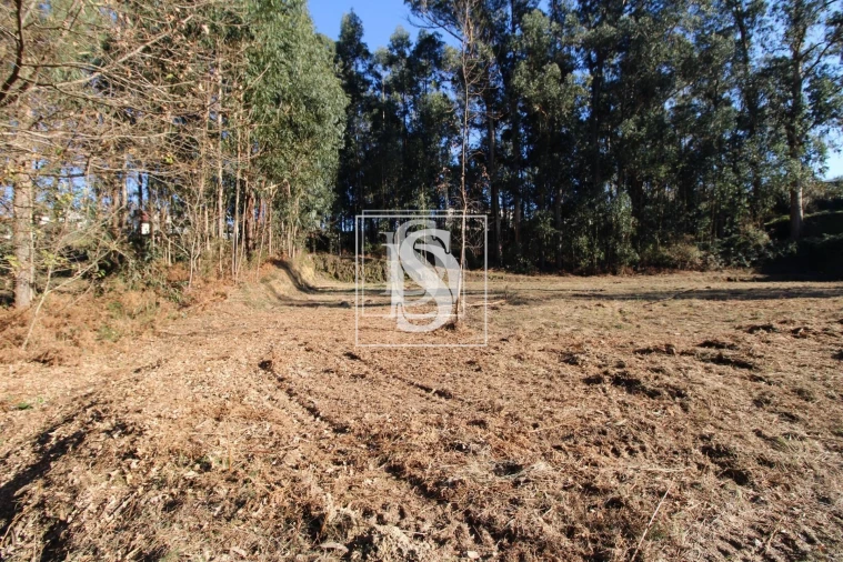 Terreno para Venda em Telões Foto 3